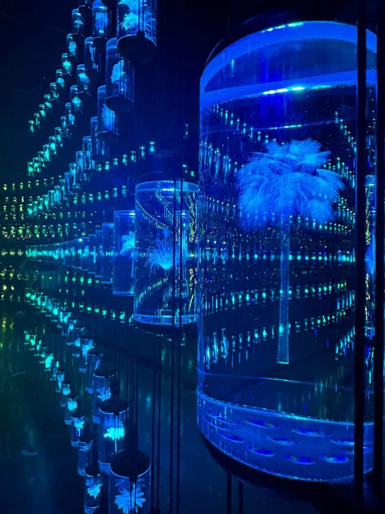 Flora and fauna hanging within large glass test tubes illuminated by blue and green lights at Dubai's Museum of the Future