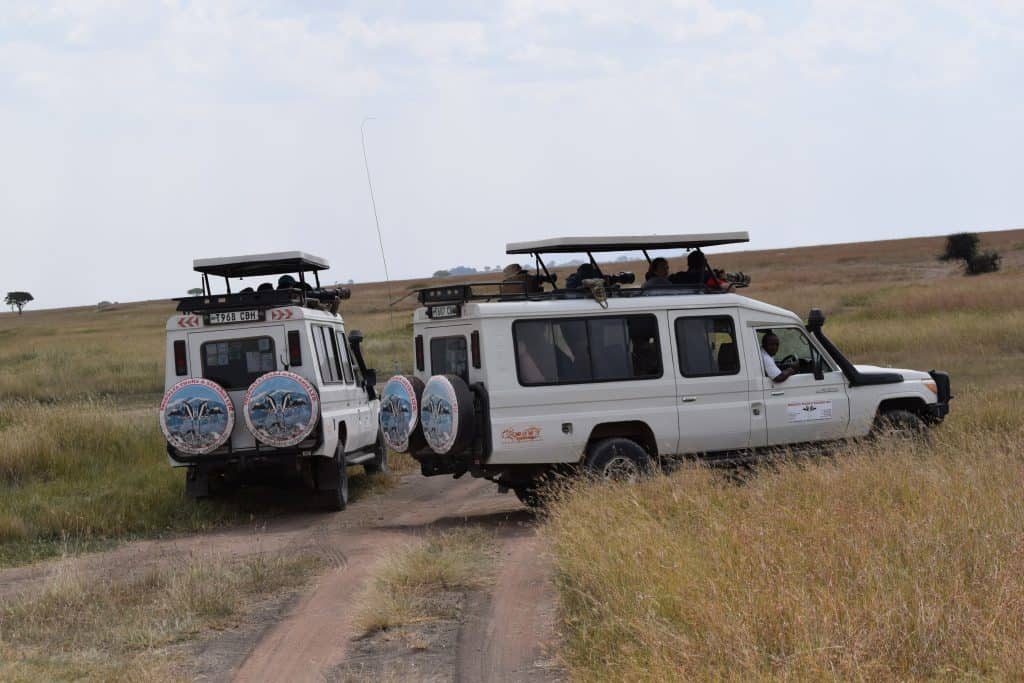 Two safari vehicles parked on a dirt path on the African savanna.