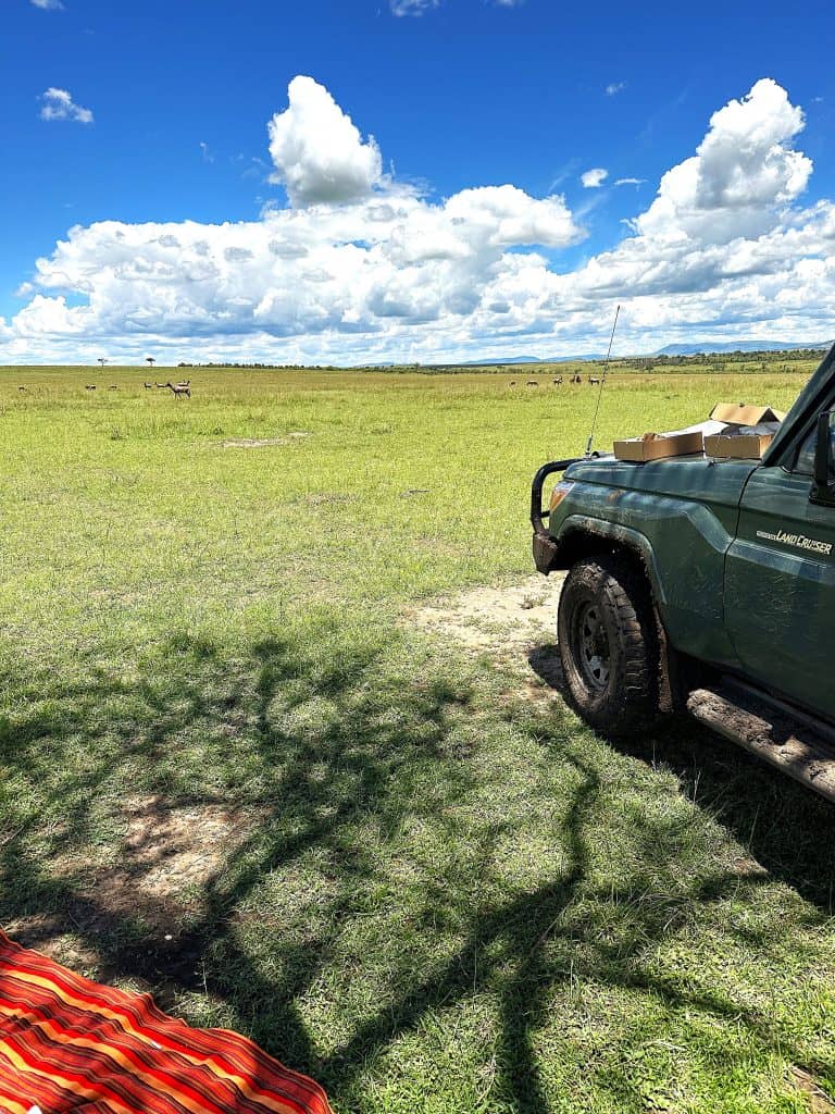 A safari vehicle's hood with picnic boxes on it, parked in the African savanna with several animals in the distance.