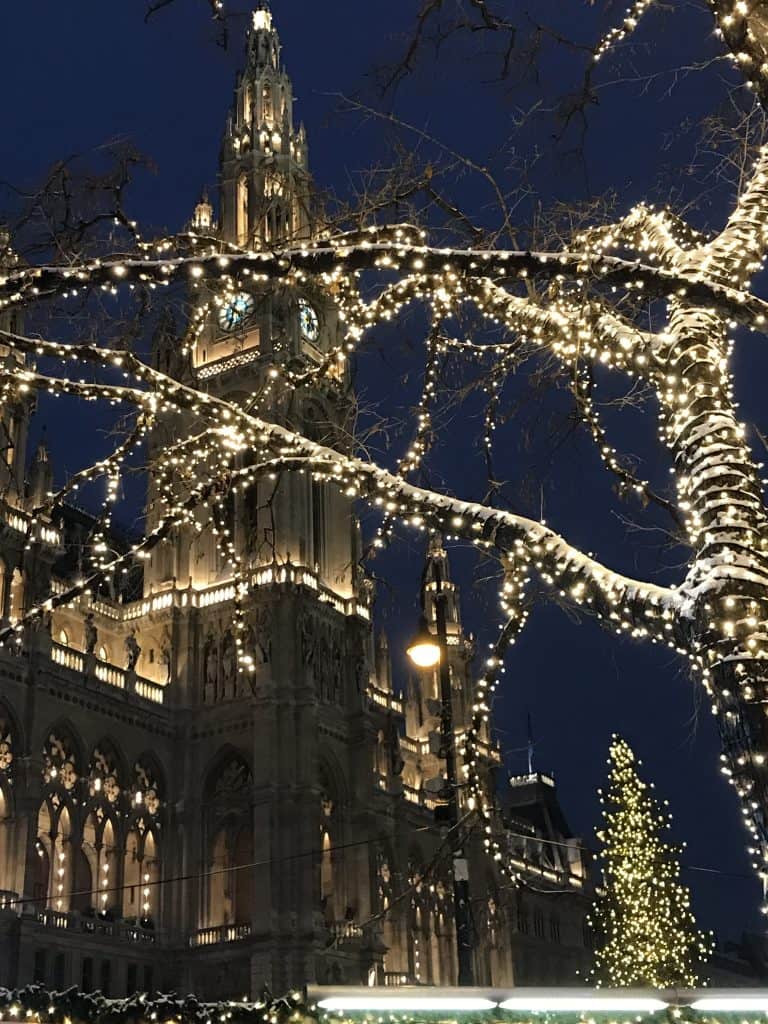 Tiny white lights in a tree in front of a dark building with lights on in the windows.