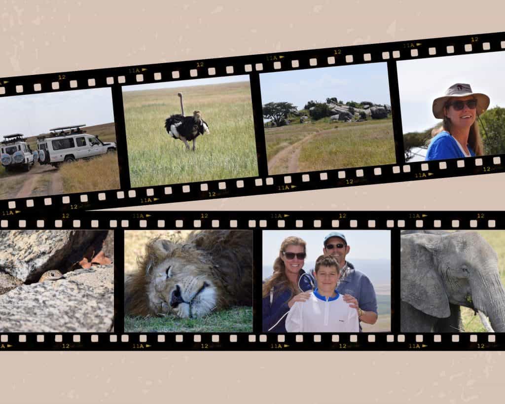 A collage of many photos showing the African savanna, some with wild animals, and others with people.