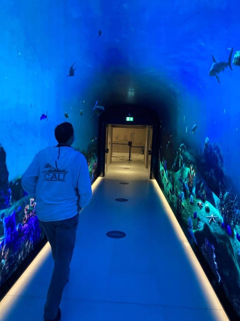 Man walking through a tunnel surrounded by an aquarium with sea life.