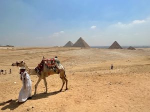 Man walking with a camel, in front of the pyramids in Egypt.