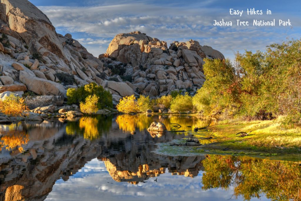 Large hills made of boulders flank a scenic calm pond surrounded by green grass and low-hanging branches of trees. "Easy Hikes in Joshua Tree National Park" is written in the top right corner of the image.