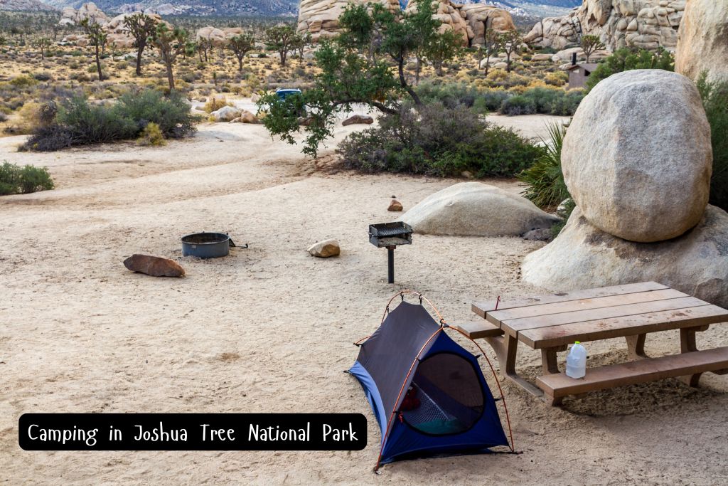 A small tent next to a picnic table in a sandy campground site, surrounded by boulders and Joshua trees and boulders.