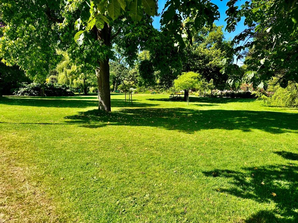 A pretty view of Beacon Hill Park in Victoria, BC. Grass, trees, and picnic tables are seen on a sunny day.