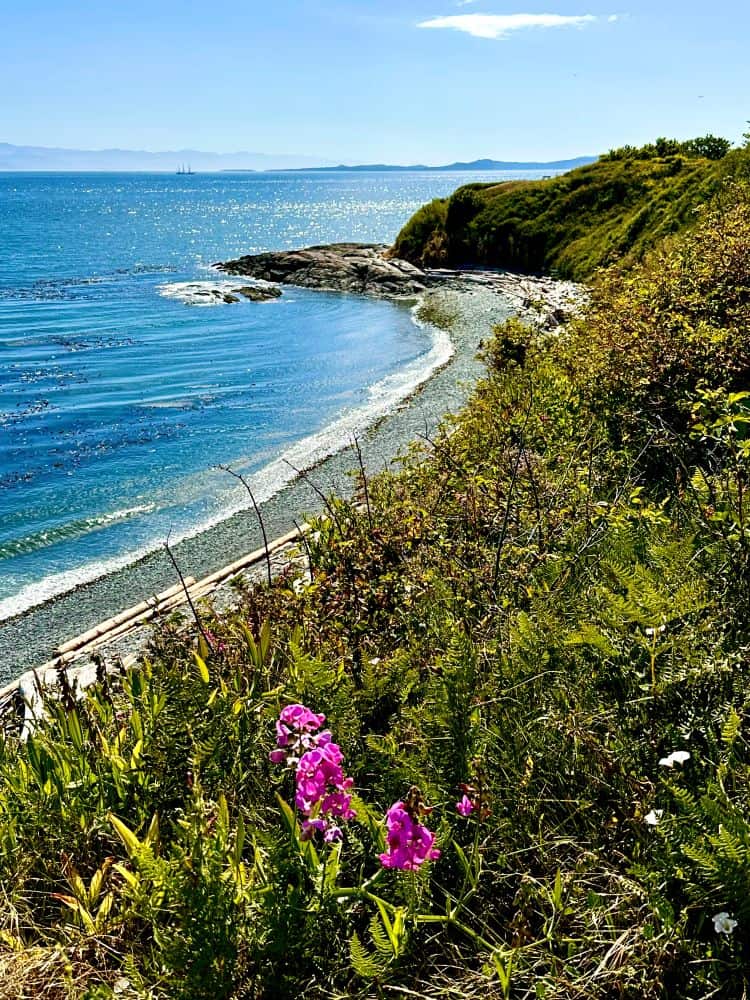 A scenic view over the bluffs of Victoria, BC, past a rocky beach. Boats and land are seen in the distance.