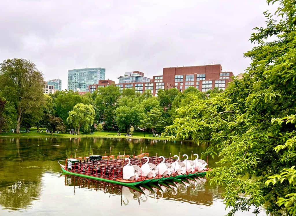 Swan Boats on the lagoon in the Boston Public Garden during spring, showing lush greenery and calm water, a popular season often considered the best time to visit Boston.