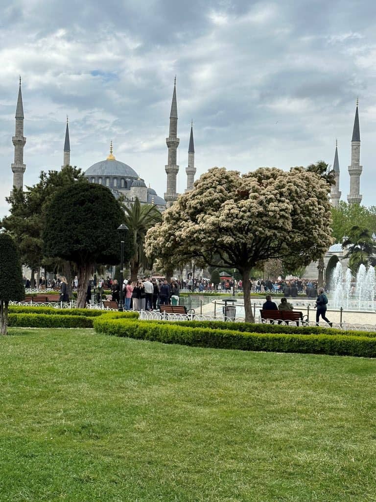 A large mosque in Istanbul, Turkey, with 6 tall and slim minarets. Blooming trees and green grass are in the foreground.