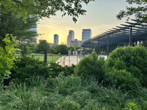 Skyline of Boston at sunset, with tall buildings in the background and lush green foliage in the foreground.