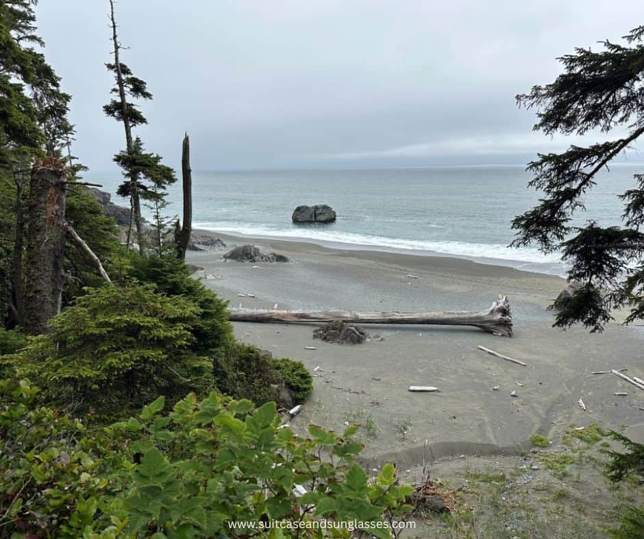 A long tree trunk lies along the shoreline of a stormy ocean with grey clouds overhead.
