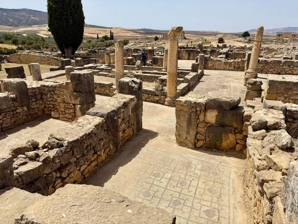 Roman ruins, columns and mosaic floors at Volubilis near Meknes, Morocco.