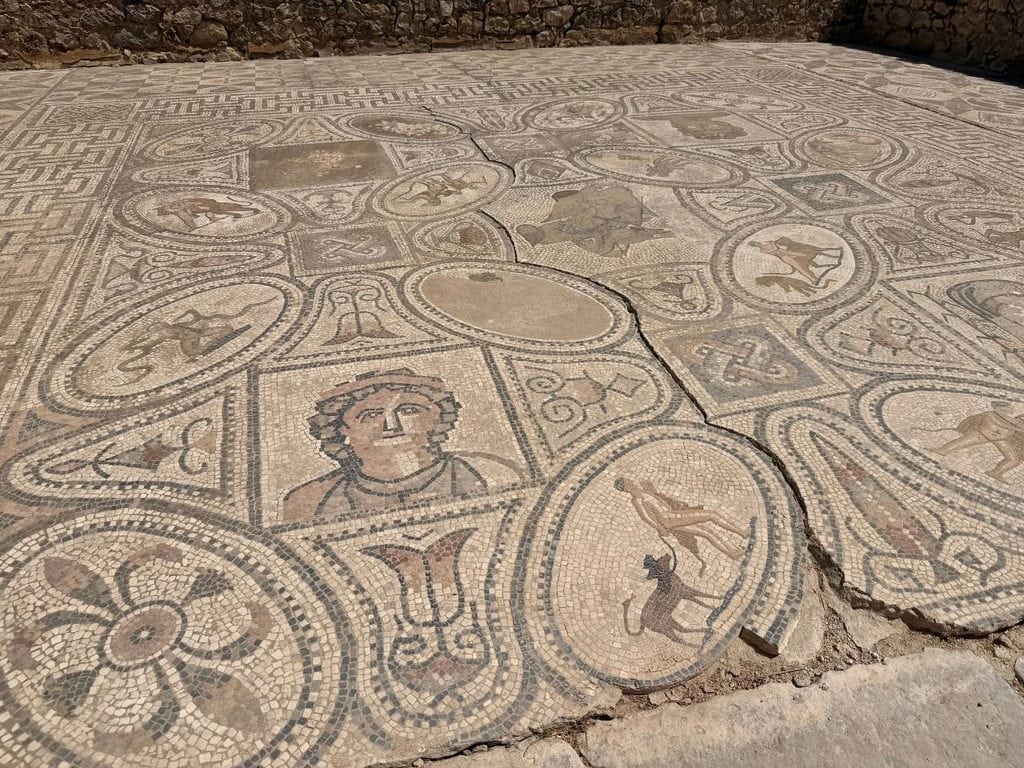 Ancient Roman mosaic with geometric patterns and animal figures at Volubilis, Morocco.