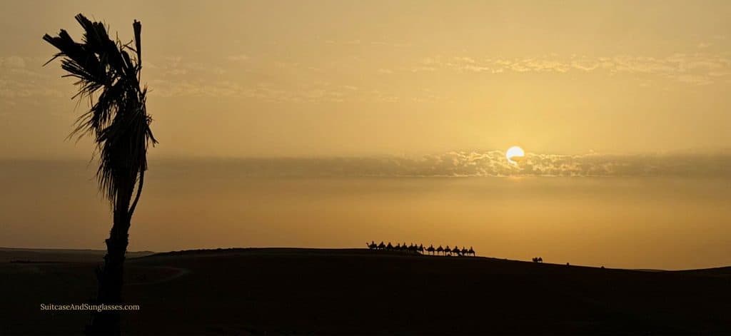 Sunset over the Agafay Desert near Marrakech, Morocco, with a silhouetted caravan of camels crossing a rocky ridge.