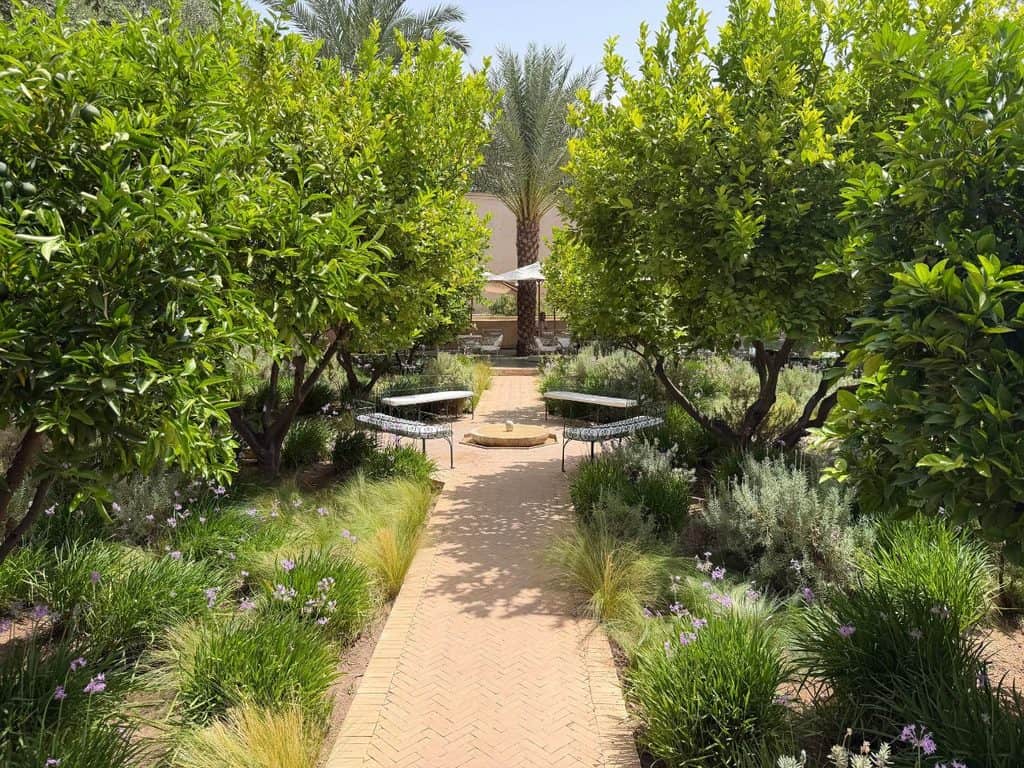 Peaceful garden at Le Jardin Secret in Marrakech, Morocco, with a brick pathway, lush orange trees, flowering plants, and benches.